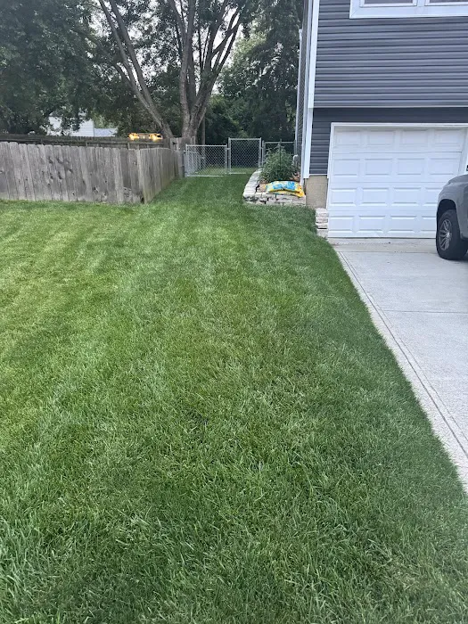 NexGreen Lawn and Tree Care Picture 3