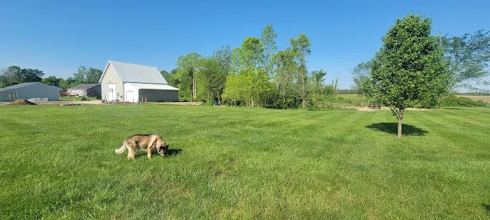 NexGreen Lawn and Tree Care Picture 6