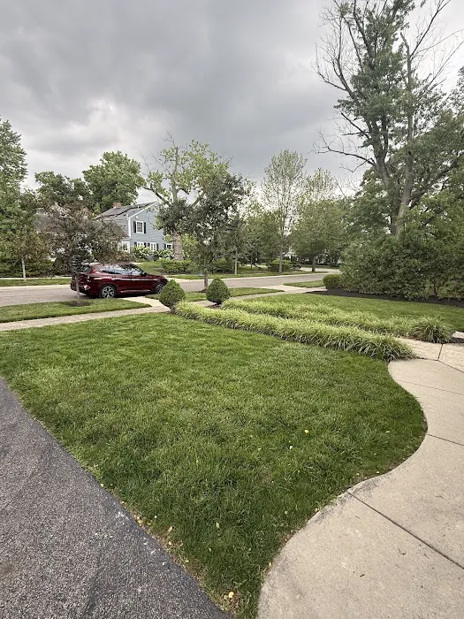 NexGreen Lawn and Tree Care Picture 1