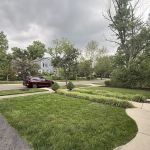 NexGreen Lawn and Tree Care