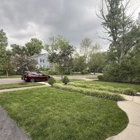 NexGreen Lawn and Tree Care ico