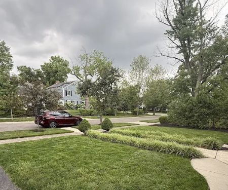NexGreen Lawn and Tree Care