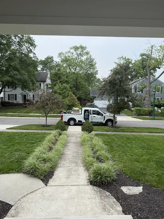 NexGreen Lawn and Tree Care Picture 8