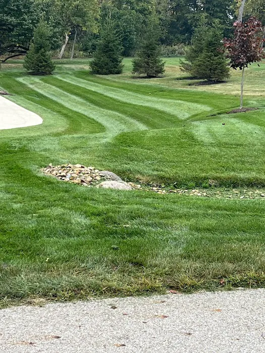 NexGreen Lawn and Tree Care Picture 5