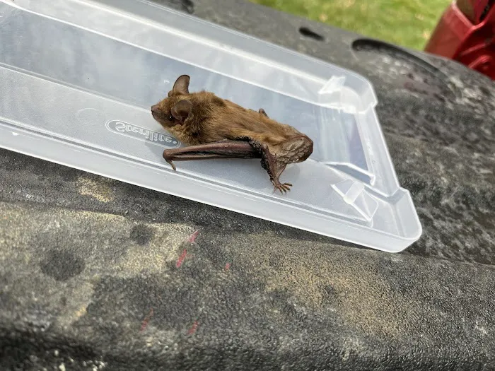 My Critter Pro Picture 1