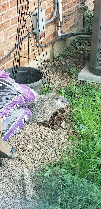 My Critter Pro Picture 6