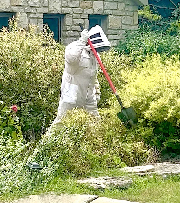Central Ohio Bug Extermination Picture 3