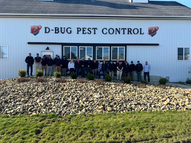 D-Bug Pest Control, Inc. Picture 2
