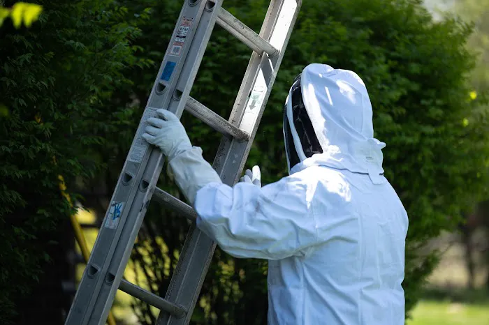 D-Bug Pest Control, Inc. Picture 7