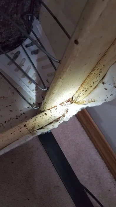 Discreet Heat Remediation Plus LLC Picture 5