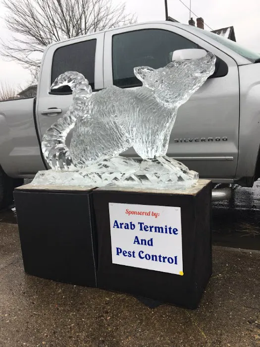 Arab Pest Control Picture 2