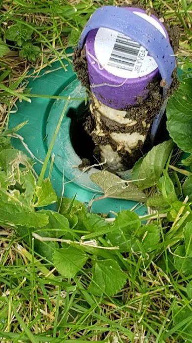 Arab Pest Control Picture 3