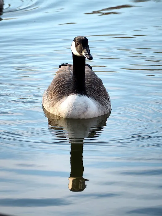 TLC Wildlife Management Picture 6