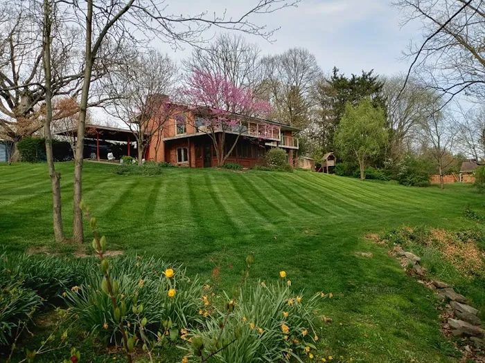 Hoffmans Lawn & Fertilization Picture 7