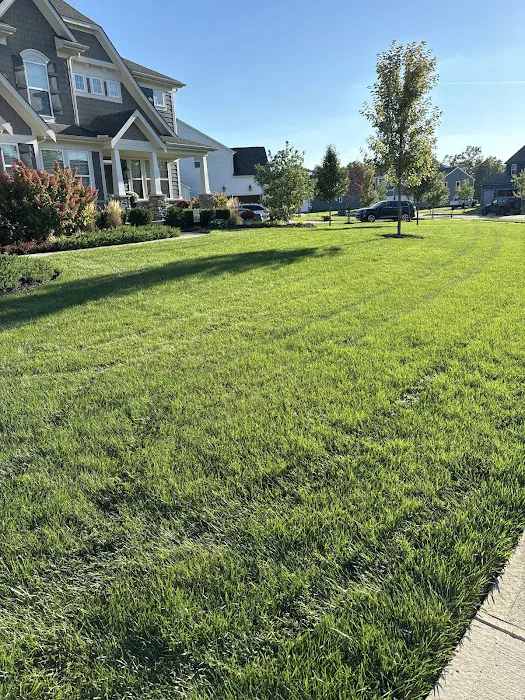 Hoffmans Lawn & Fertilization Picture 10