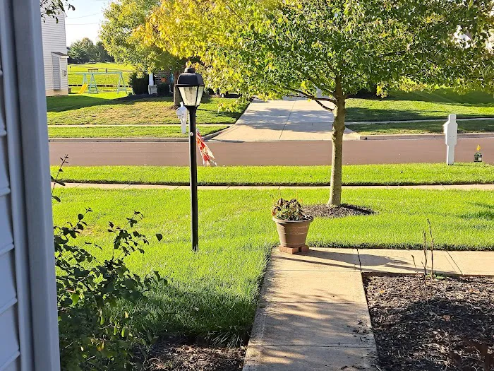 Hoffmans Lawn & Fertilization Picture 8