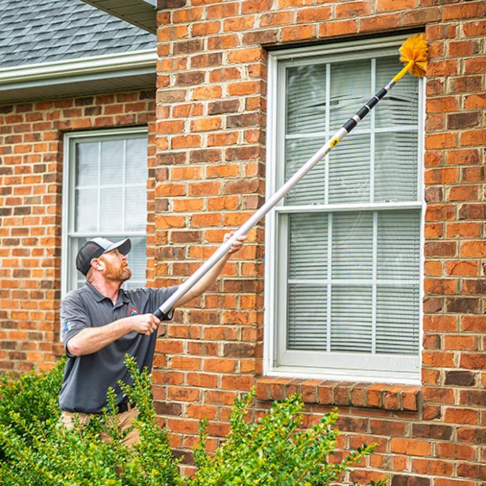 Four Seasons Pest Control Picture 10