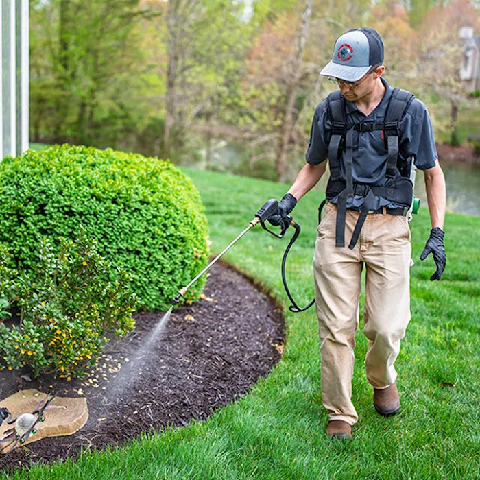 Four Seasons Pest Control Picture 4