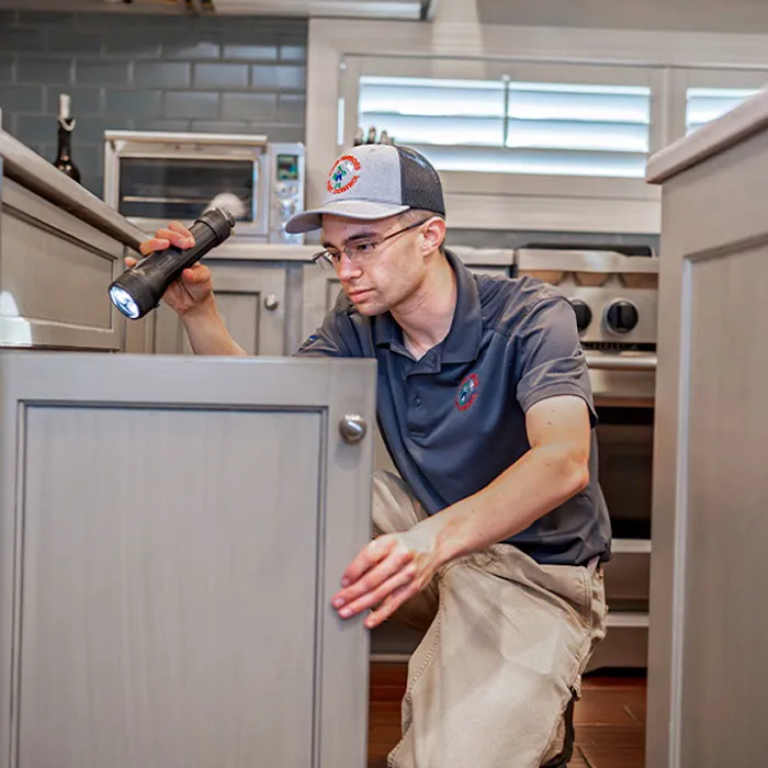 Four Seasons Pest Control Picture 8