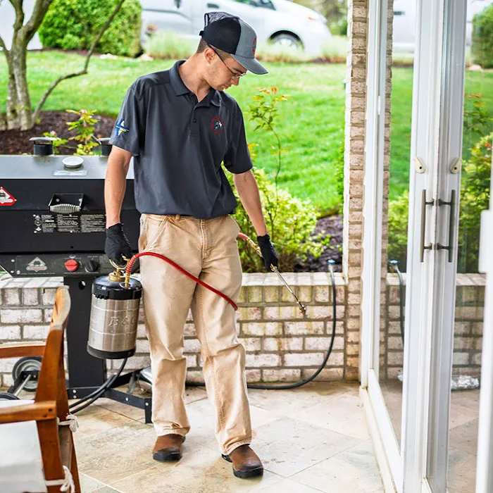 Four Seasons Pest Control Picture 7