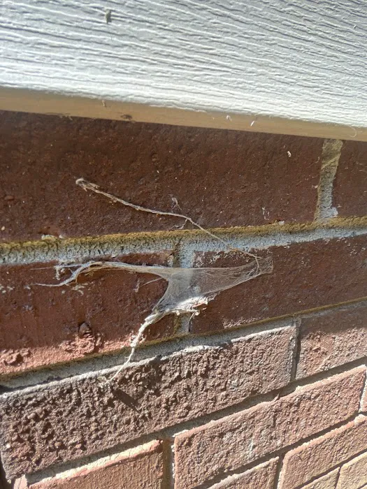 Orkin Picture 7