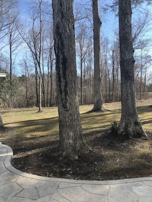 Danville Tree Care Inc Picture 6