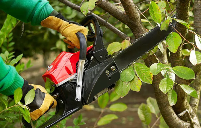 Danville Tree Care Inc Picture 9