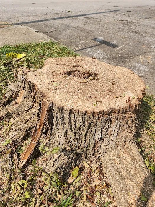 Danville Tree Care Inc Picture 7