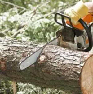Danville Tree Care Inc Picture 1