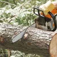 Danville Tree Care Inc ico