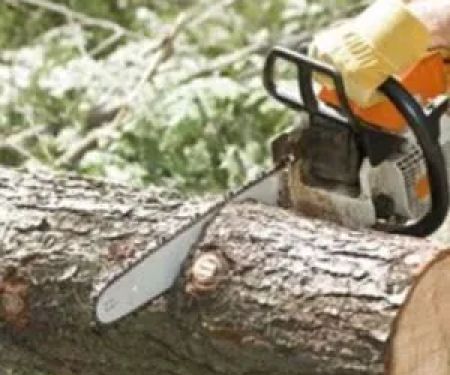 Danville Tree Care Inc