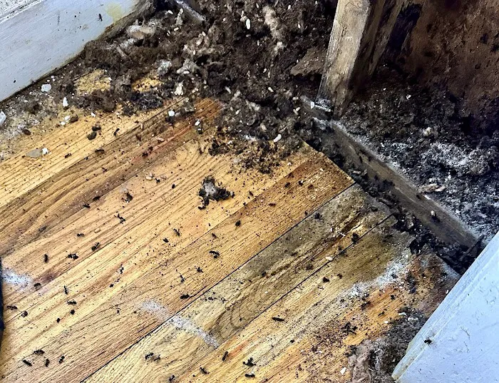 T W Sawyer Pest Control Picture 4
