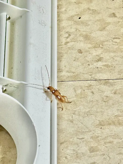T W Sawyer Pest Control Picture 6