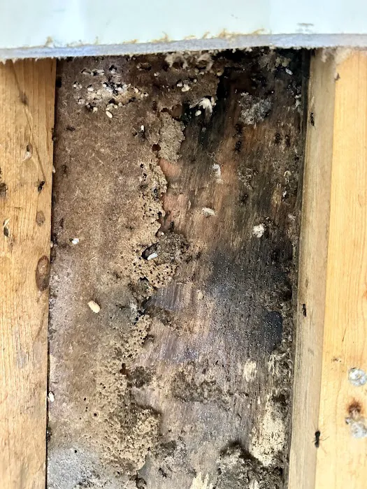 T W Sawyer Pest Control Picture 9