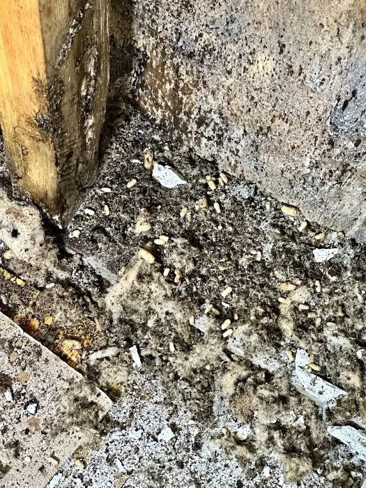 T W Sawyer Pest Control Picture 5