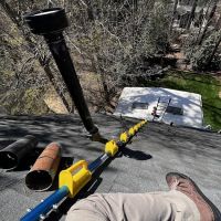 Piedmont Wildlife Control ico