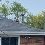 Critter Control Triangle