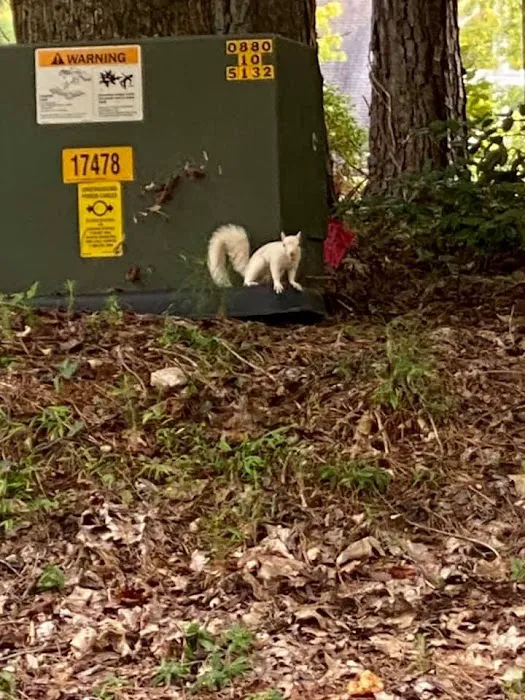 Critter Control Triangle Picture 7