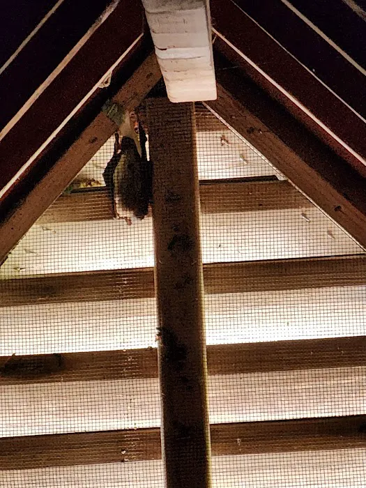 Critter Control Triangle Picture 10