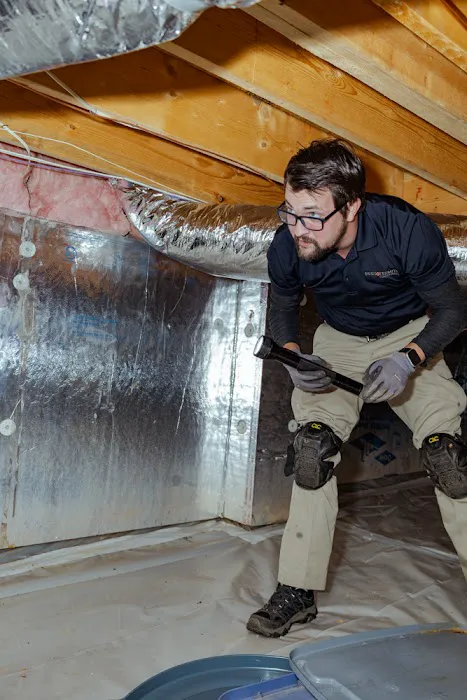 Pest & Termite Consultants Picture 10