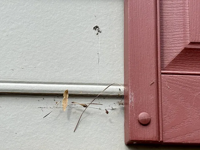 Pest & Termite Consultants Picture 9