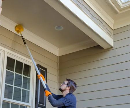 Pest & Termite Consultants