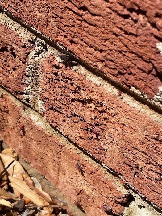 RedCheck Pest Solutions LLC Picture 5