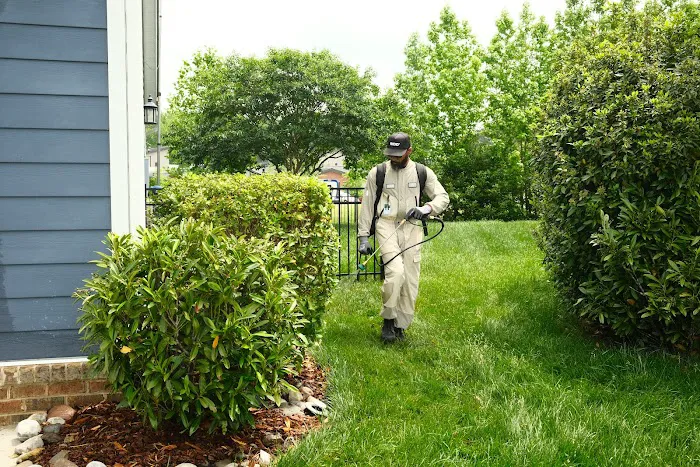 RIDD Pest Control Picture 4