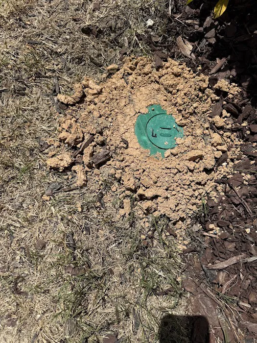 RIDD Pest Control Picture 10