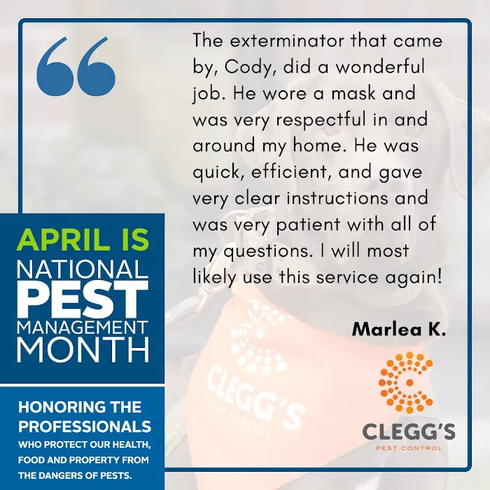 Clegg’s Termite & Pest Control - Raleigh Picture 7