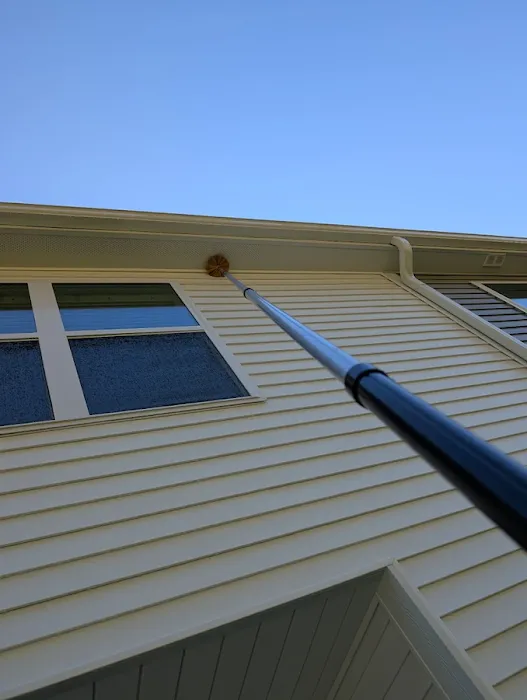 Solve Pest Pros Picture 8