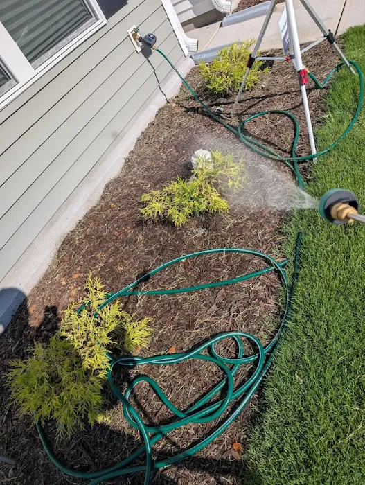 Solve Pest Pros Picture 10