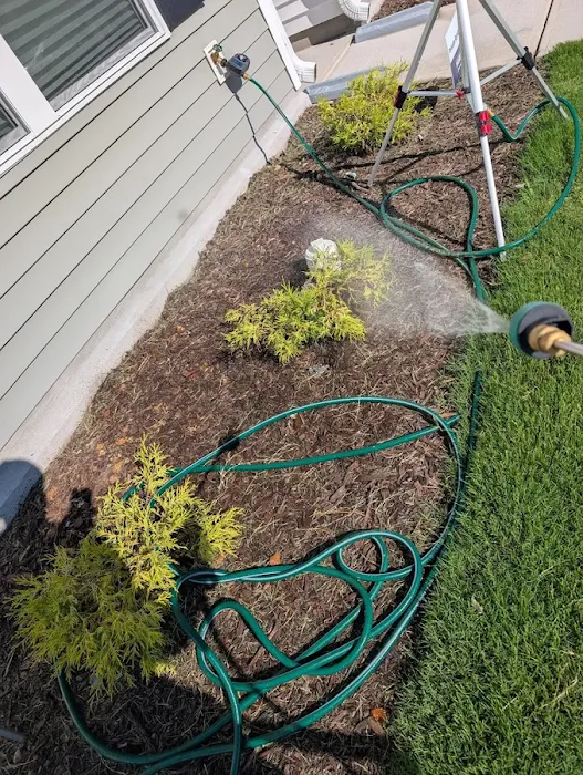 Solve Pest Pros Picture 7