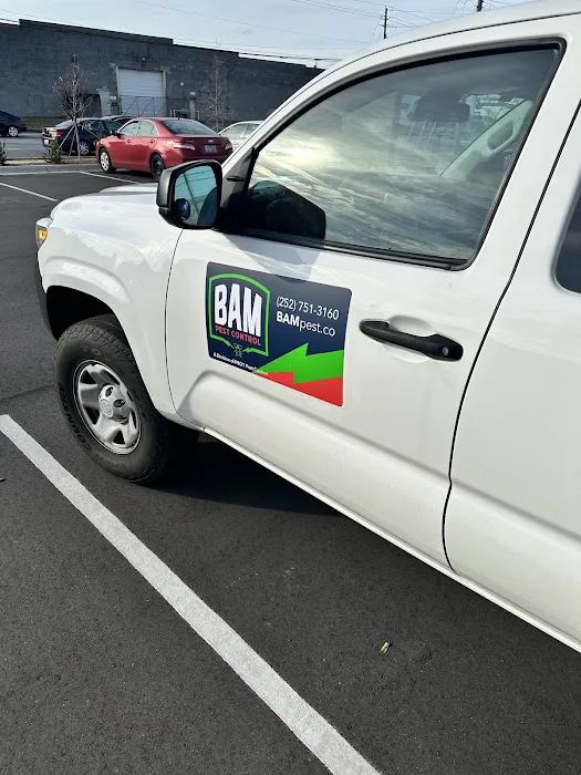 Bam Pest Control Picture 1
